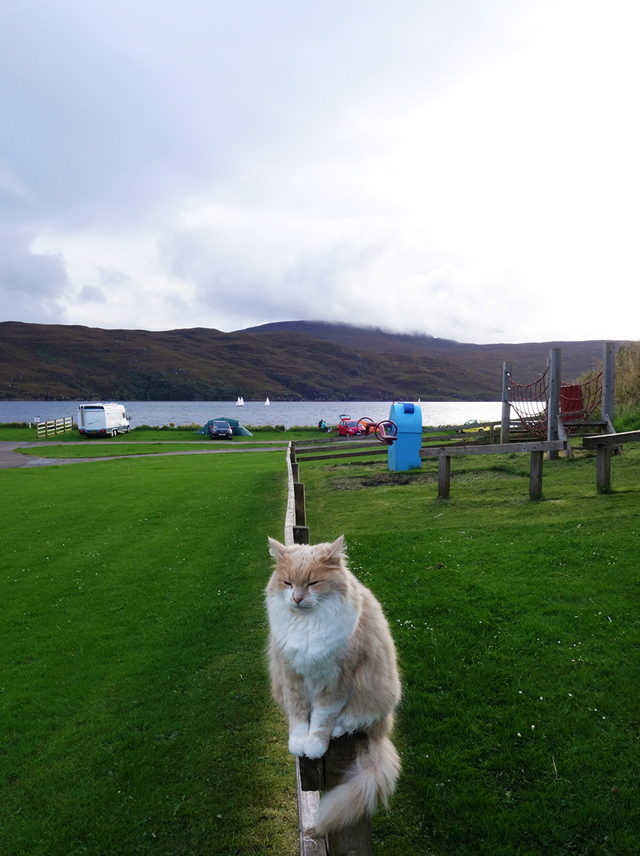 ecosse ullapool camping chat
