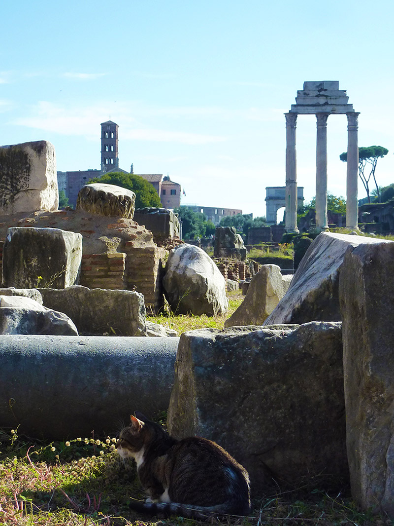 Rome – Antique
