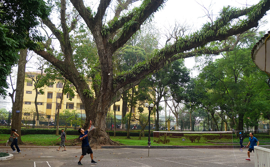 vietnam hanoi badminton