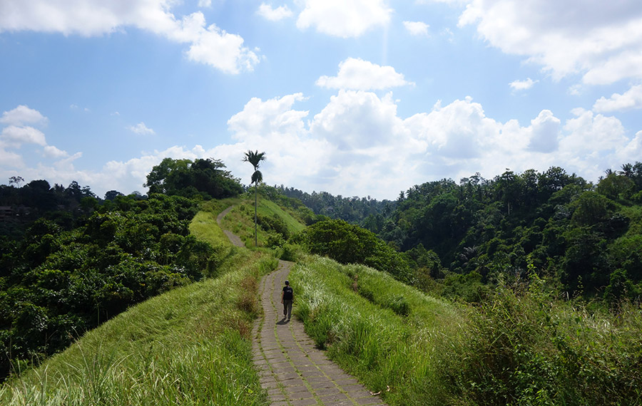 indonesie bali ubud campuhan ridge walk