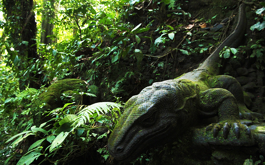 indonesie bali ubud monkey forest jungle dragon komodo varan