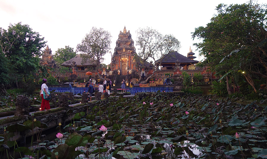 indonesie bali ubud saraswati temple lotus