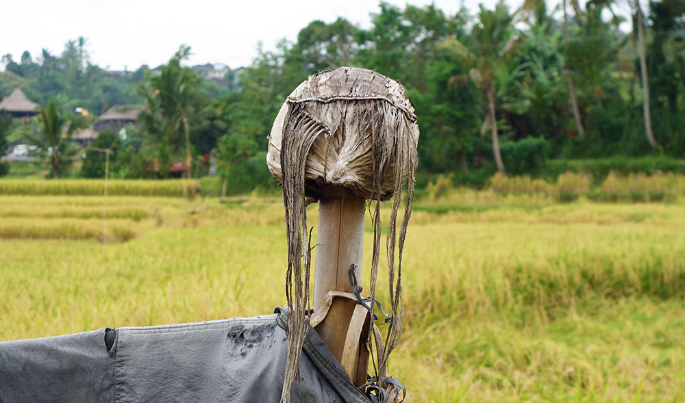 indonesie bali jatiluwih riziere rice field