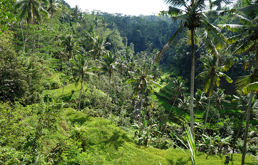 indonesie bali temple pura gunung kawi