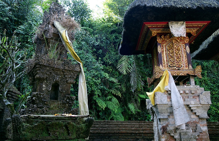 indonesie bali temple gunung kawi sebatu