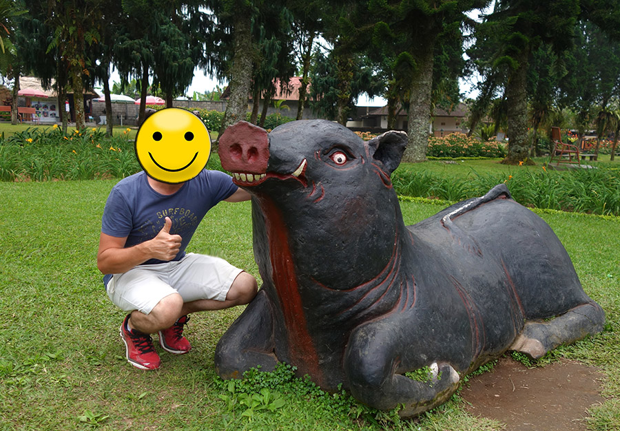 indonesie bali ulun danu beratan parc statues animau animals