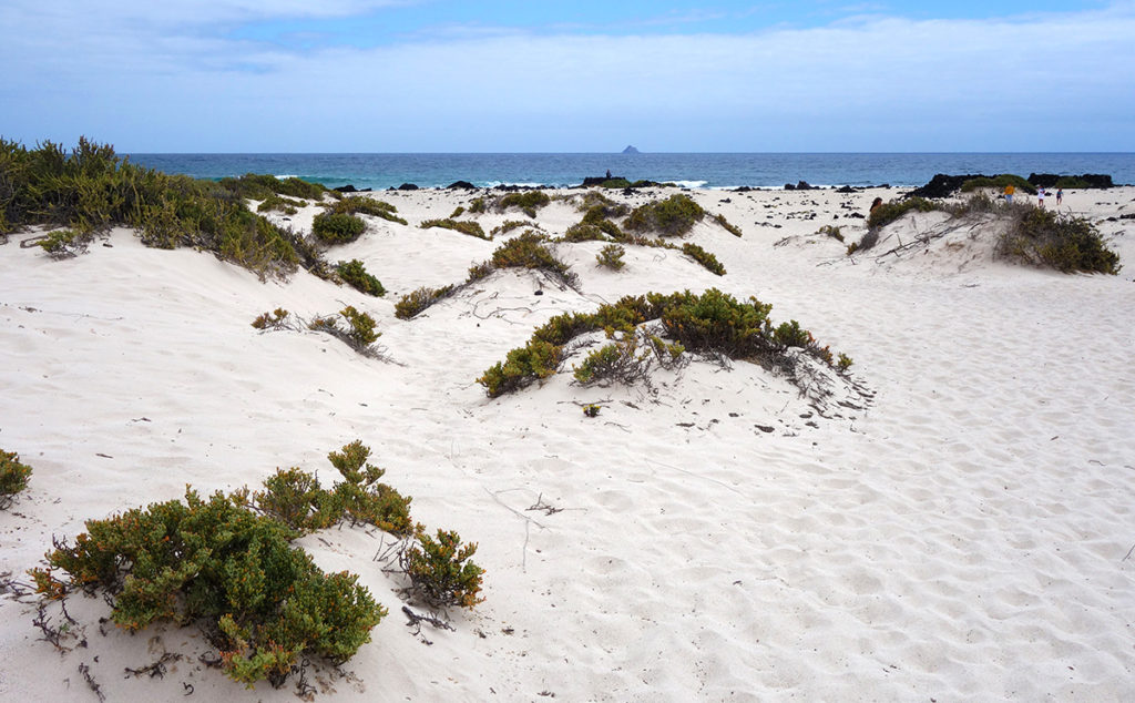 canaries lanzarote caleta mojon blanco plage playa sable