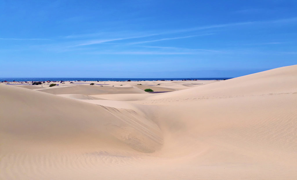 gran canaria maspalomas dunes sand parc nature
