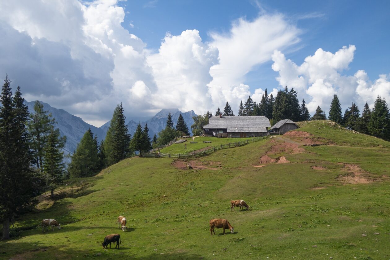 Road trip en Slovénie : randonnée (Preval et col Hajnževo sedlo) et la belle église Jamnik