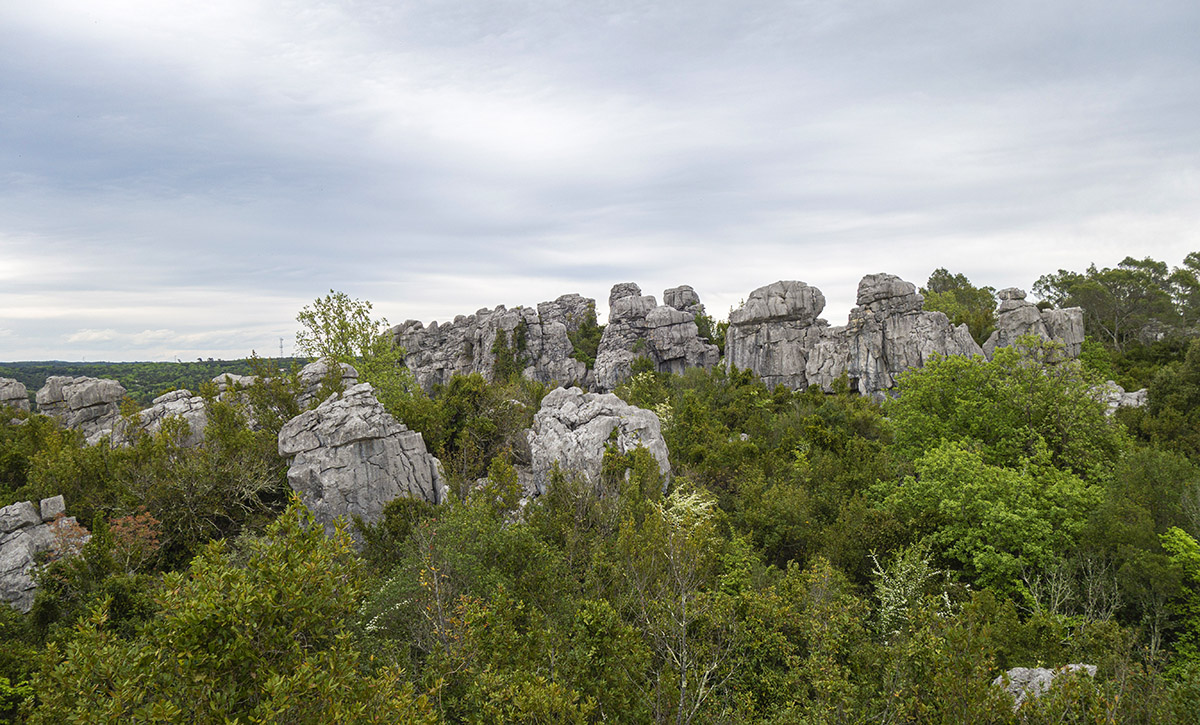 Sauve et la Mer des Rochers