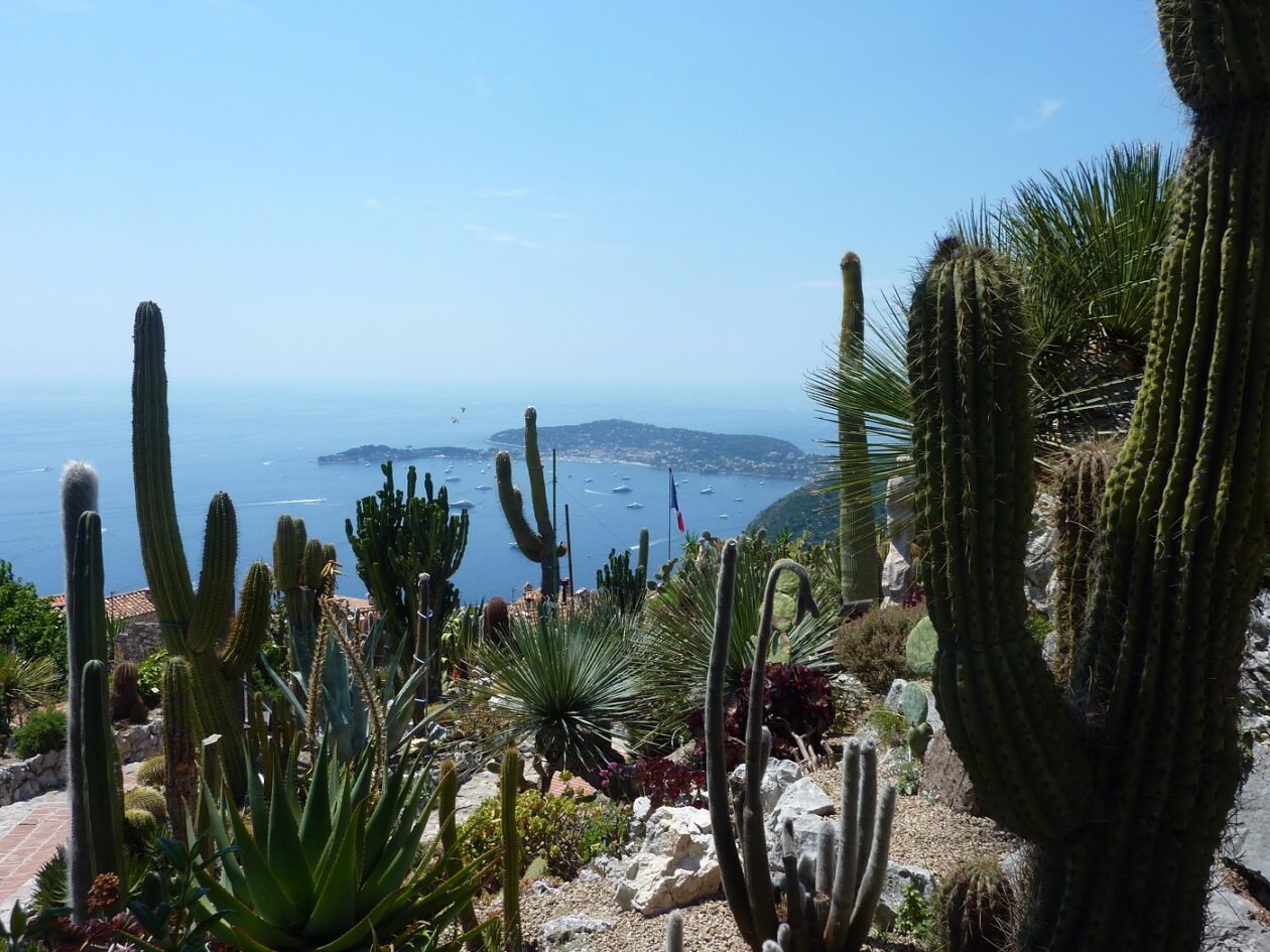 Le Jardin Exotique d’Èze, un lieu à découvrir sur la Côte d’Azur